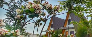 ویلا دوبلکس سوییسی با ویو بینظیر (2) ویلا دوبلکس سوییسی با ویو بینظیر (2)