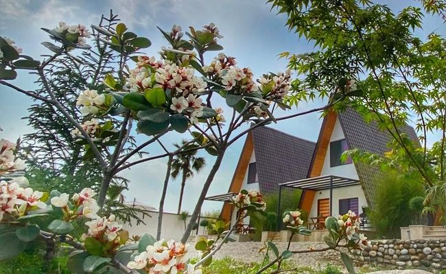 ویلا دوبلکس سوییسی با ویو بینظیر (2) ویلا دوبلکس سوییسی با ویو بینظیر (2)