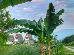 ویلا دوبلکس سوییسی با ویو بینظیر (2) ویلا دوبلکس سوییسی با ویو بینظیر (2)