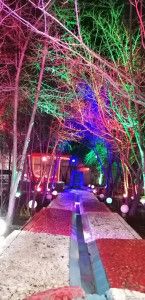 ویلا لوکس استخر ابگرم باغبهادران