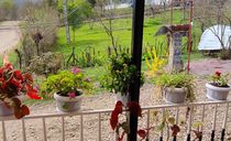 ویلا جنگلی دوخوابه در ماسال ویلا جنگلی دوخوابه در ماسال