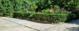 ویلای جنگلی شومینه دار با منظره زیبا ویلای جنگلی شومینه دار با منظره زیبا