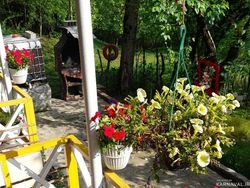 کلبه دوبلکس آرامش در یک کیلومتری سد لفور  تو دل جنگل کلبه دوبلکس آرامش در یک کیلومتری سد لفور  تو دل جنگل