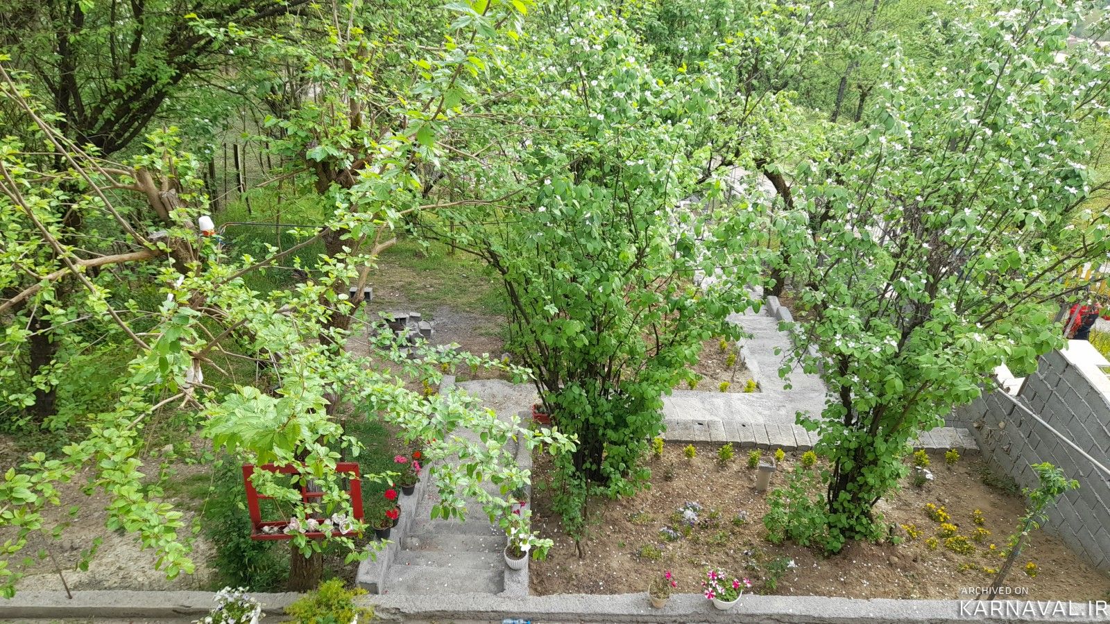 کلبه دوبلکس آرامش در یک کیلومتری سد لفور  تو دل جنگل