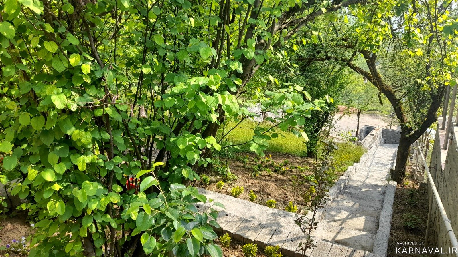 کلبه دوبلکس آرامش در یک کیلومتری سد لفور  تو دل جنگل