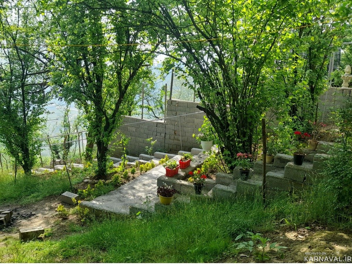کلبه دوبلکس آرامش در یک کیلومتری سد لفور  تو دل جنگل