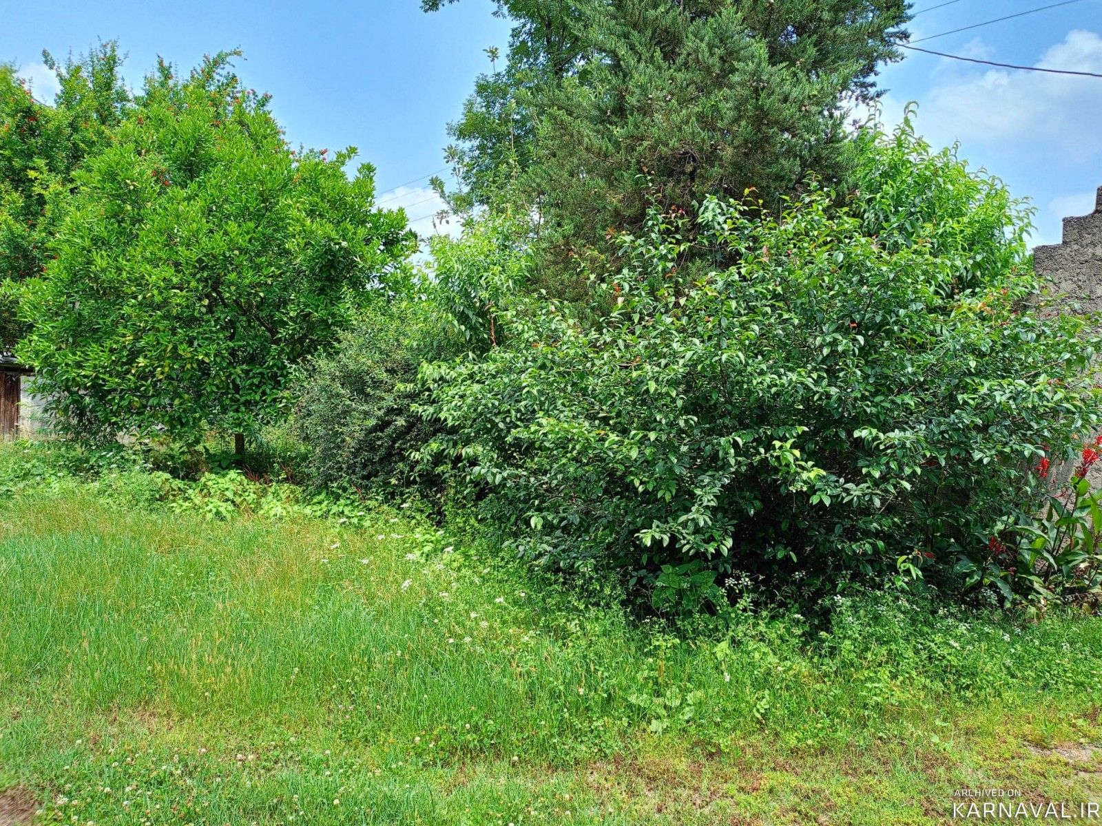 ویلای نقلی گل انار