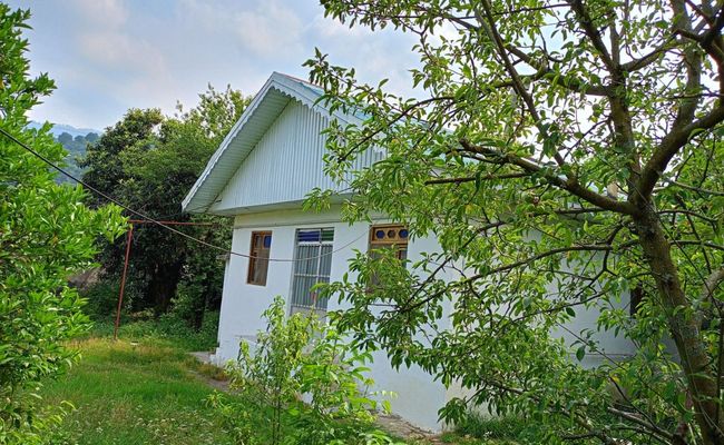 ویلای نقلی گل انار ویلای نقلی گل انار