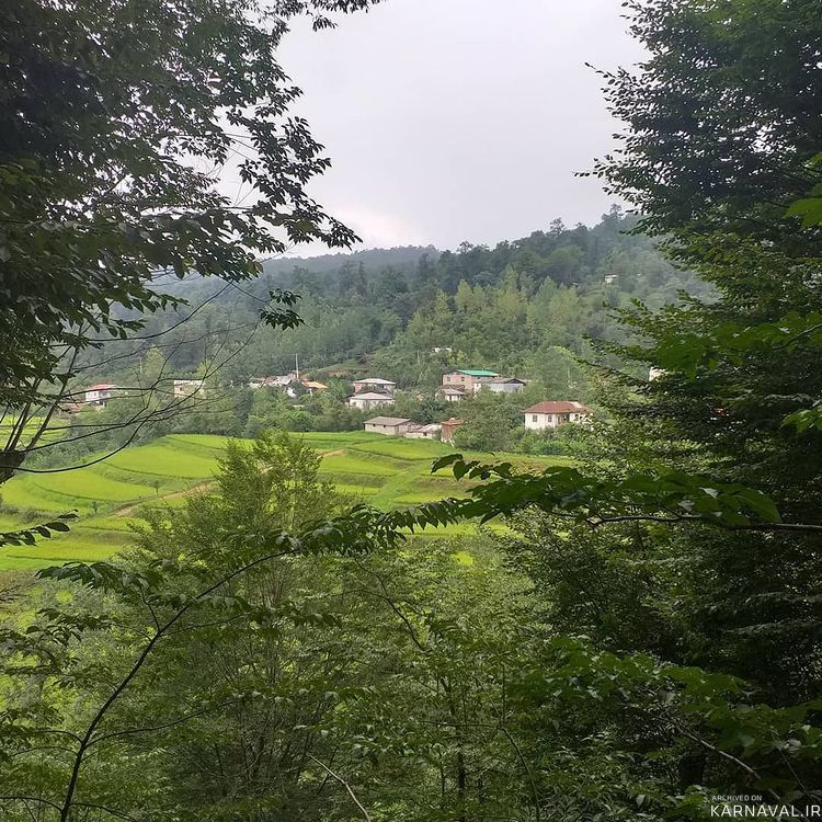 اجاره کلبه باغ وَنوشِه