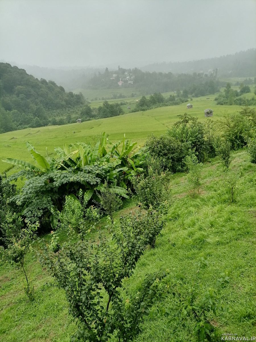 اجاره کلبه باغ وَنوشِه
