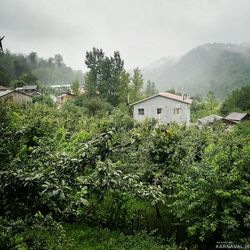 اجاره کلبه باغ وَنوشِه اجاره کلبه باغ وَنوشِه