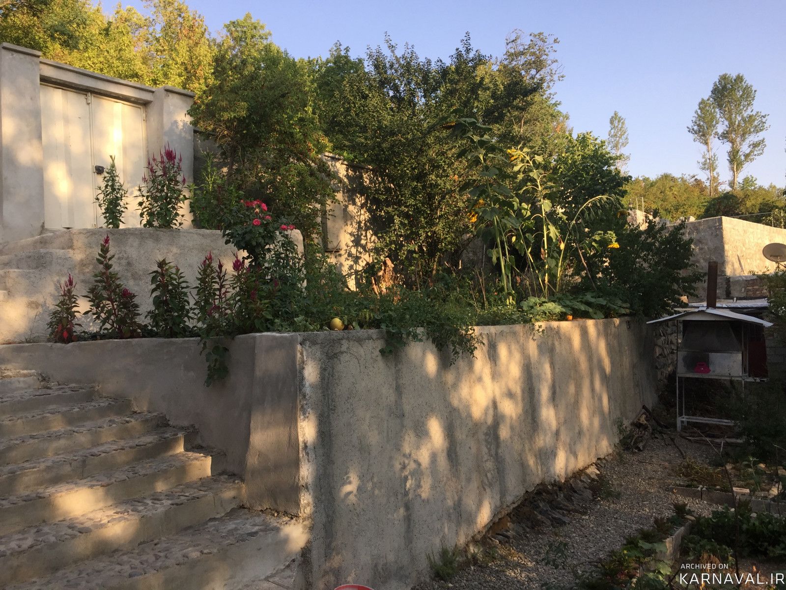 ویلای جنگلی کلیبر