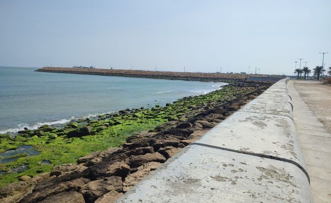 واحد مبله تک خواب با چشمانداز دریا واحد مبله تک خواب با چشمانداز دریا