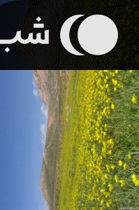 خانه شیک