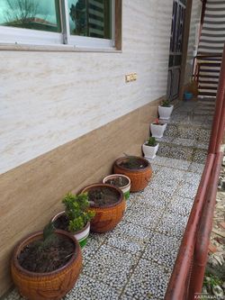 اقامتگاه مهماننواز نزدیک به کوهجنگلدریا اقامتگاه مهماننواز نزدیک به کوهجنگلدریا