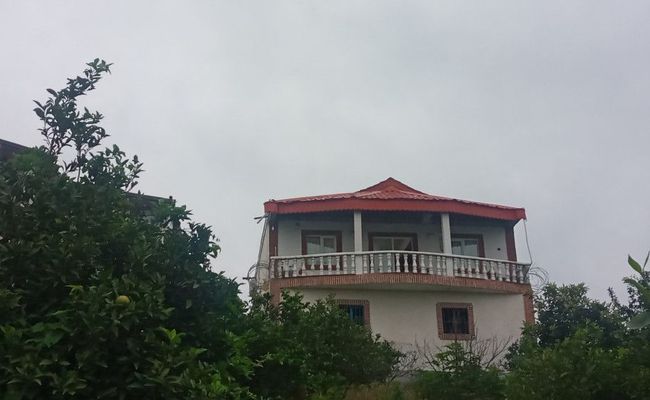 ویلای جنگلی قلی پور ویلای جنگلی قلی پور