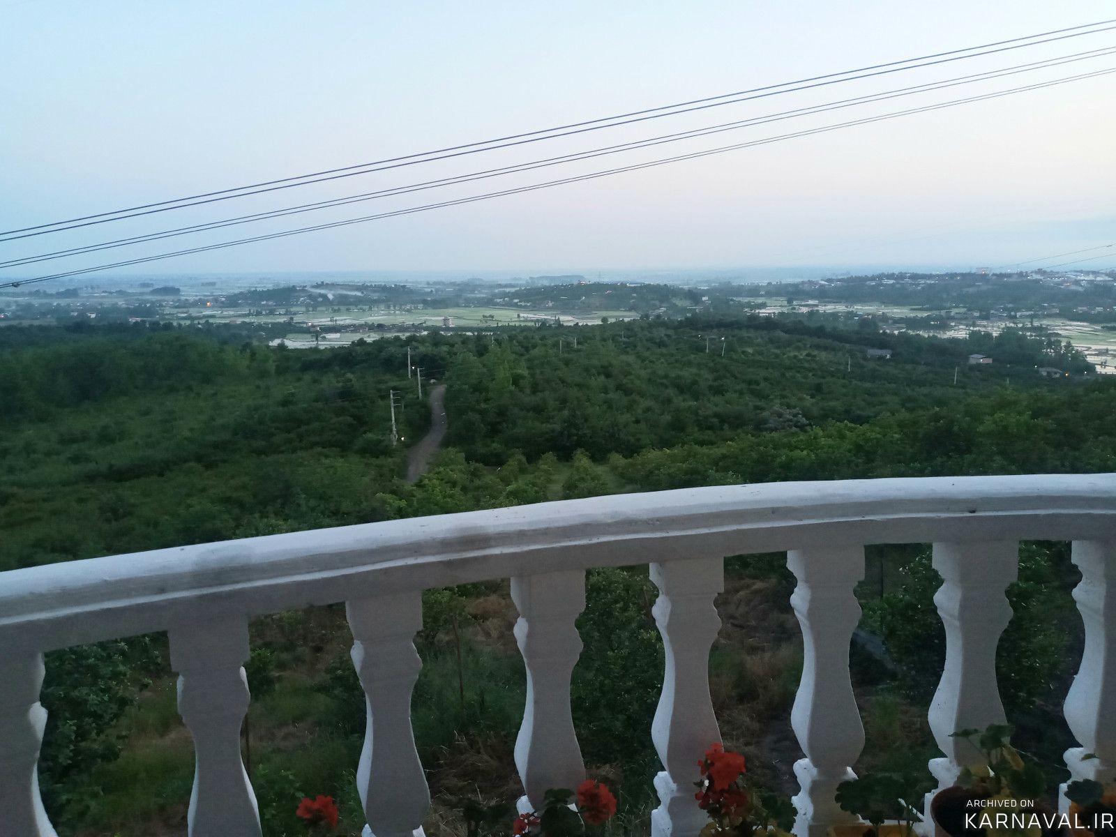 ویلای جنگلی  قلی پور