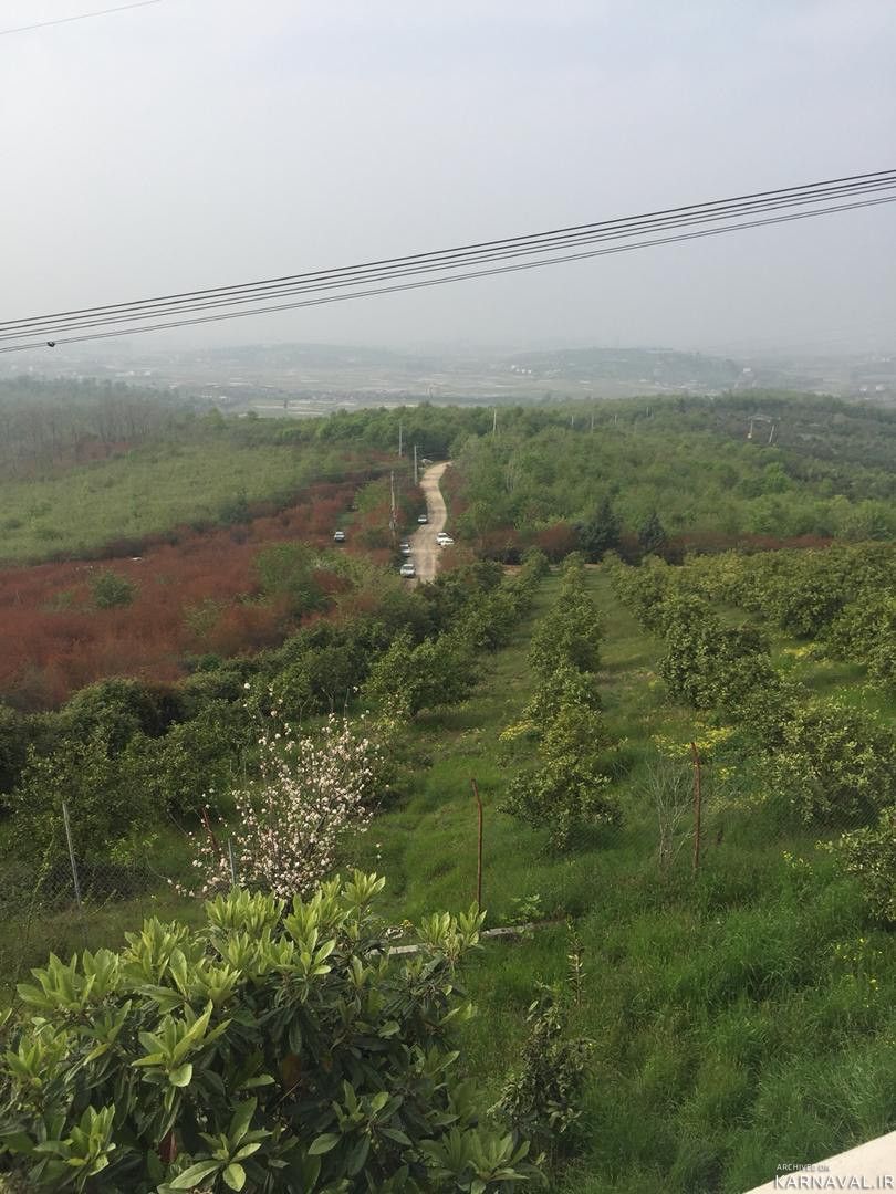 ویلای جنگلی  قلی پور