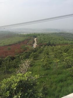 ویلای جنگلی قلی پور ویلای جنگلی قلی پور