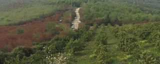 ویلای جنگلی قلی پور ویلای جنگلی قلی پور