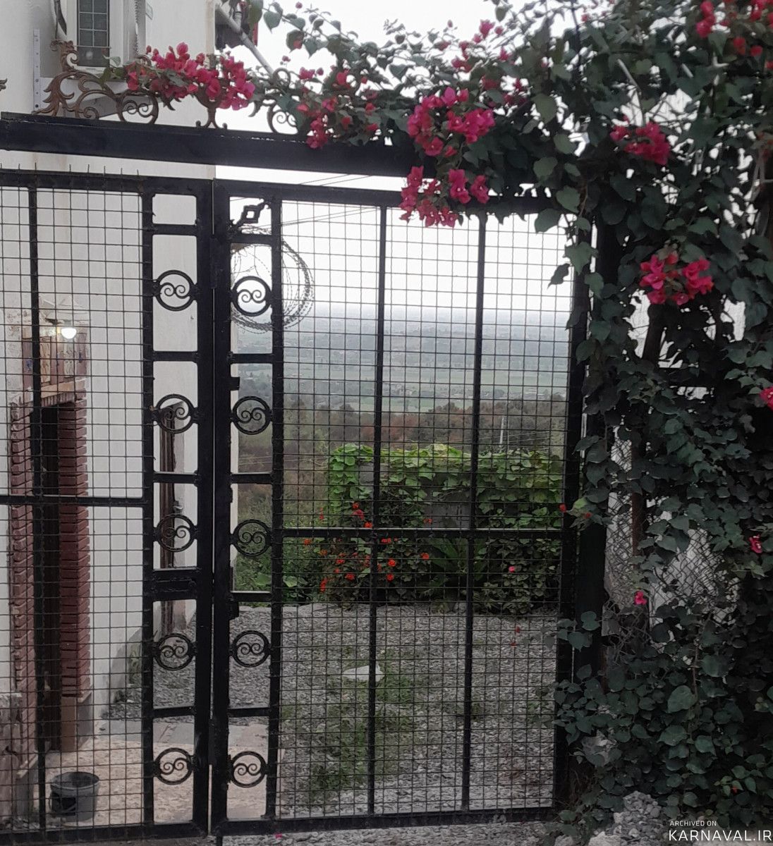 ویلای جنگلی  قلی پور