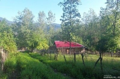 کلبه جنگلی در دل جنگل نزدیک ییلاقات
