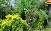 باغ ویلا روستایی دنج و مرتب همراه با امکانات رفاهی باغ ویلا روستایی دنج و مرتب همراه با امکانات رفاهی