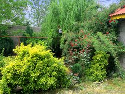 باغ ویلا روستایی دنج و مرتب همراه با امکانات رفاهی باغ ویلا روستایی دنج و مرتب همراه با امکانات رفاهی