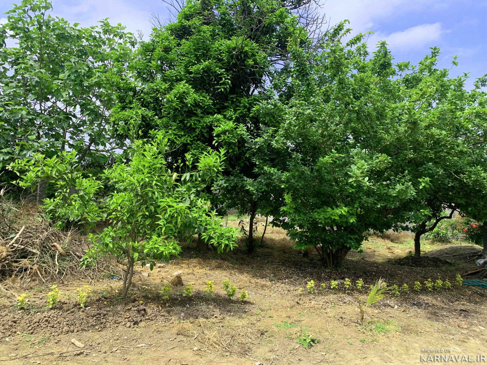 باغ ویلا روستایی دنج و مرتب همراه با امکانات رفاهی