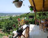 واحد تک خواب حیاطدار واحد تک خواب حیاطدار