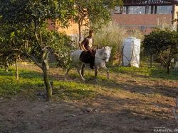 واحد تک خواب حیاطدار واحد تک خواب حیاطدار