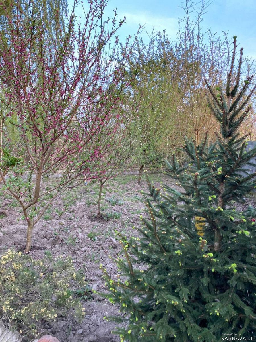 باغ ویلای دوبلکس