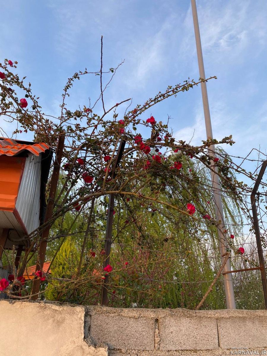 باغ ویلای دوبلکس