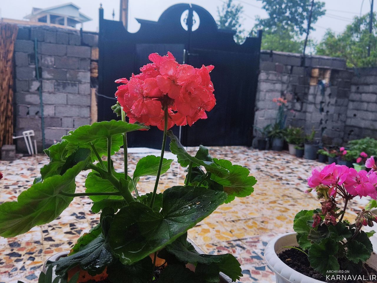 ویلای تک خواب ماسال ویلای تک خواب ماسال