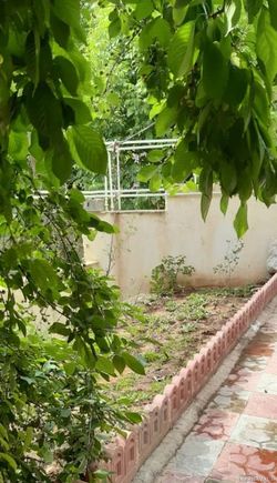 ویلای دوخوابه تمیز با امکانات رفاهی اولیه ویلای دوخوابه تمیز با امکانات رفاهی اولیه