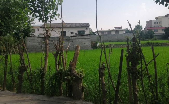 ویلای حیاط دار در بافت روستایی مناسب خانواده ویلای حیاط دار در بافت روستایی مناسب خانواده