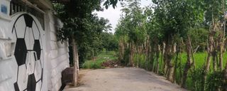 ویلای حیاط دار در بافت روستایی مناسب خانواده ویلای حیاط دار در بافت روستایی مناسب خانواده