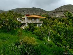 ویلای دو طبقه با چشم انداز جنگل ویلای دو طبقه با چشم انداز جنگل