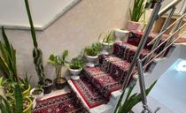 سوییت نقلی در بوشهر نزدیک به ساحل ریشهر سوییت نقلی در بوشهر نزدیک به ساحل ریشهر