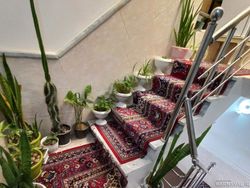 سوییت نقلی در بوشهر نزدیک به ساحل ریشهر سوییت نقلی در بوشهر نزدیک به ساحل ریشهر