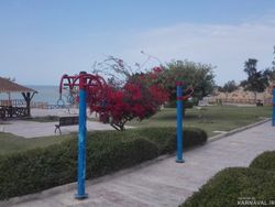 سوییت نقلی در بوشهر نزدیک به ساحل ریشهر سوییت نقلی در بوشهر نزدیک به ساحل ریشهر