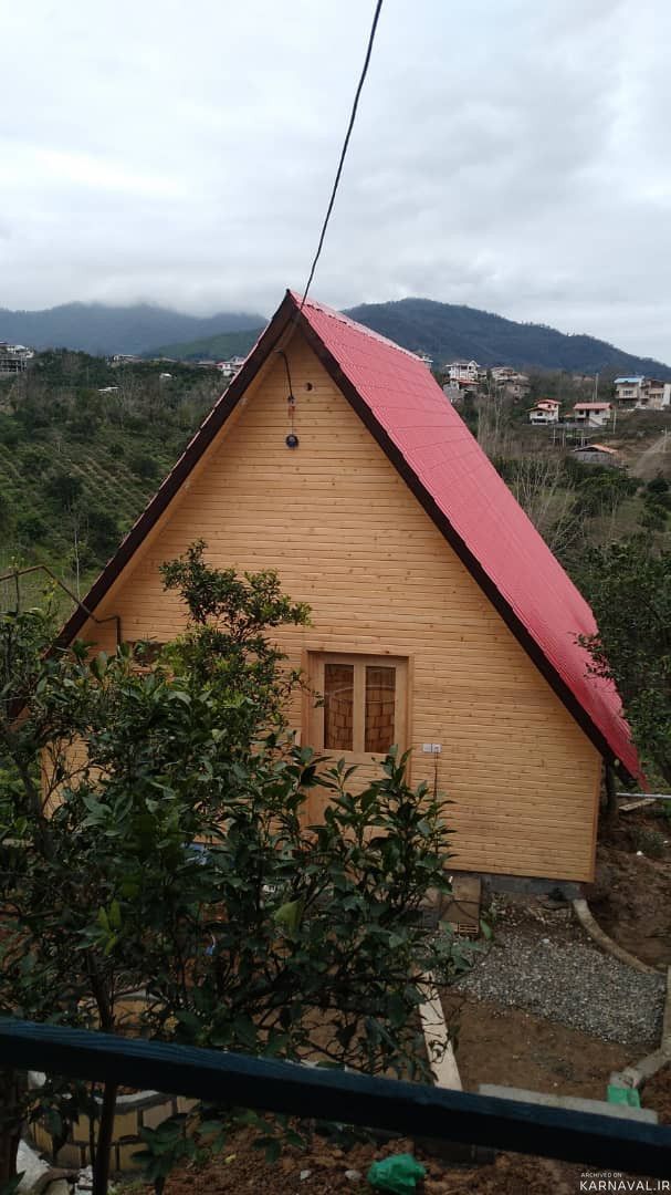 کلبه نقلی در دل باغ مرکبات و زمین چای