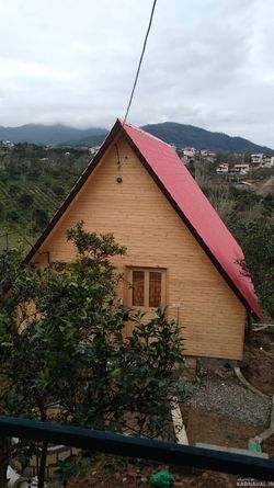 کلبه نقلی در دل باغ مرکبات و زمین چای کلبه نقلی در دل باغ مرکبات و زمین چای