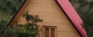 کلبه نقلی در دل باغ مرکبات و زمین چای کلبه نقلی در دل باغ مرکبات و زمین چای