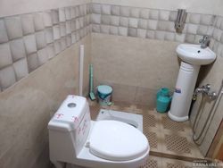 کلبه نقلی در دل باغ مرکبات و زمین چای کلبه نقلی در دل باغ مرکبات و زمین چای