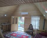 کلبه نقلی در دل باغ مرکبات و زمین چای کلبه نقلی در دل باغ مرکبات و زمین چای