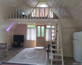 کلبه نقلی در دل باغ مرکبات و زمین چای کلبه نقلی در دل باغ مرکبات و زمین چای