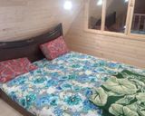 کلبه نقلی در دل باغ مرکبات و زمین چای کلبه نقلی در دل باغ مرکبات و زمین چای