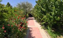ویلا باغ. دوخوابه. استخر روباز ویلا باغ. دوخوابه. استخر روباز