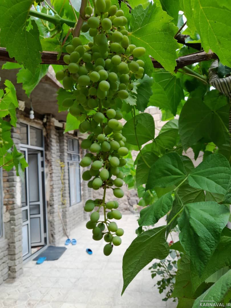 ویلای تک خواب دنج اقتصادی